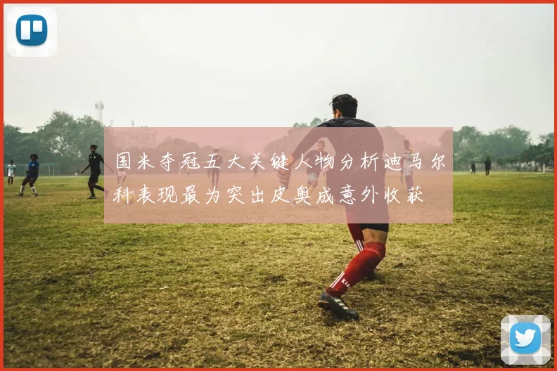 国米夺冠五大关键人物分析迪马尔科表现最为突出皮奥成意外收获