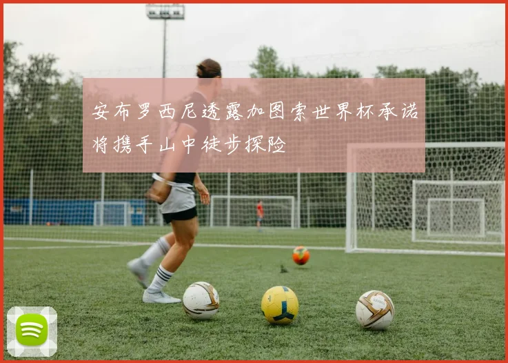 安布罗西尼透露加图索世界杯承诺将携手山中徒步探险