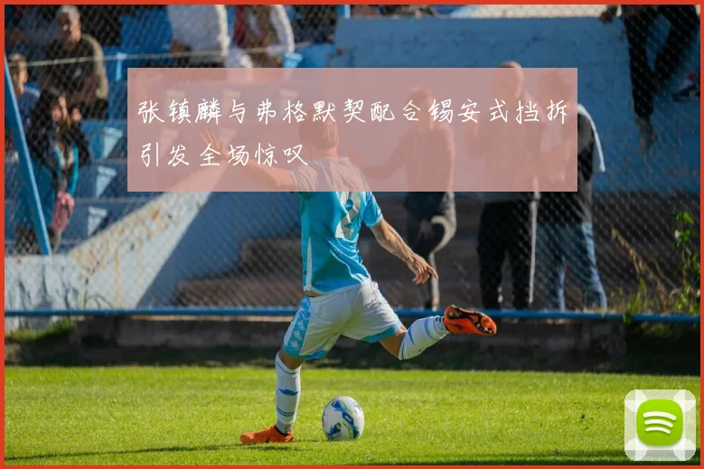 张镇麟与弗格默契配合锡安式挡拆引发全场惊叹